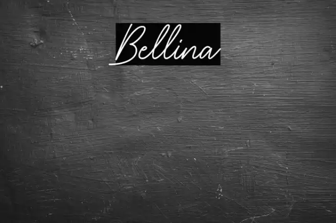 Bellina Font examples