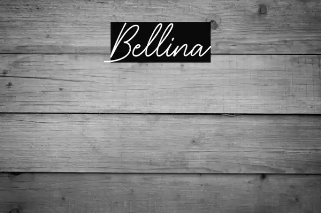 Bellina Font examples