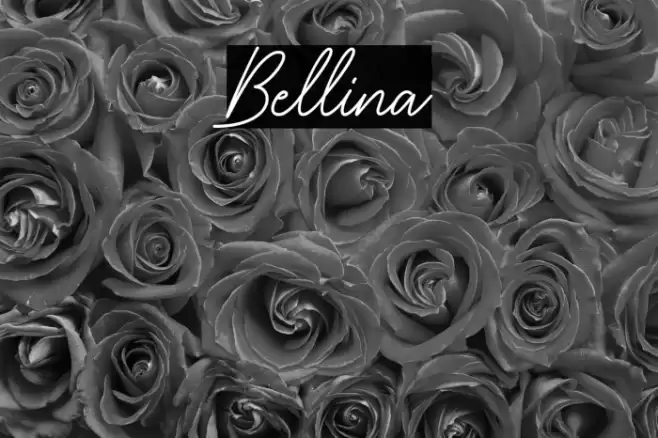 Bellina Font examples