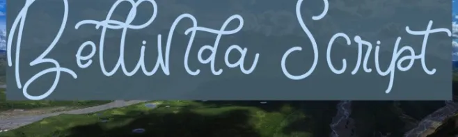 Bellinda Script Example 2