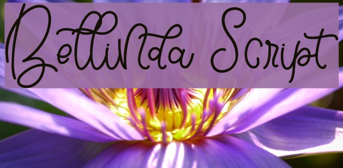 Bellinda Script Font examples