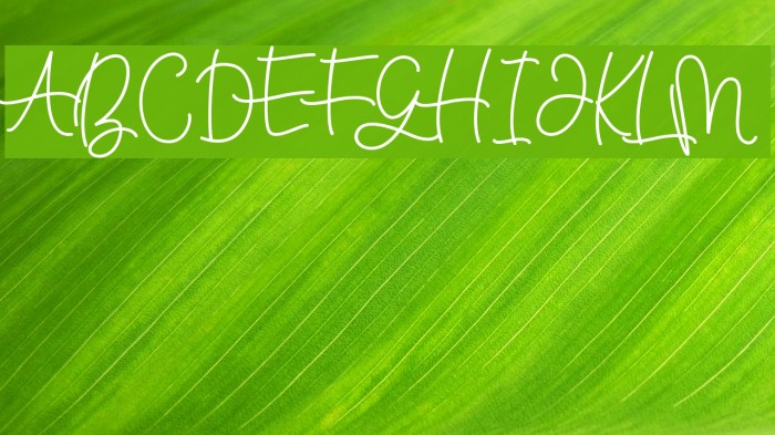BellindaScript Font examples