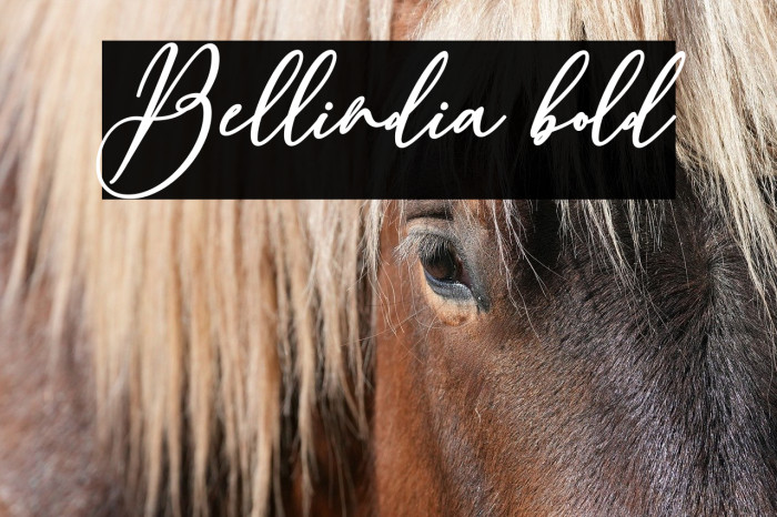 Bellindia bold Example 2