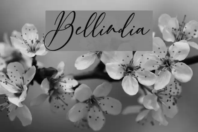 Bellindia Font examples