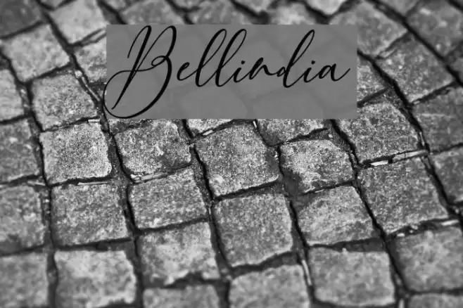 Bellindia Font examples