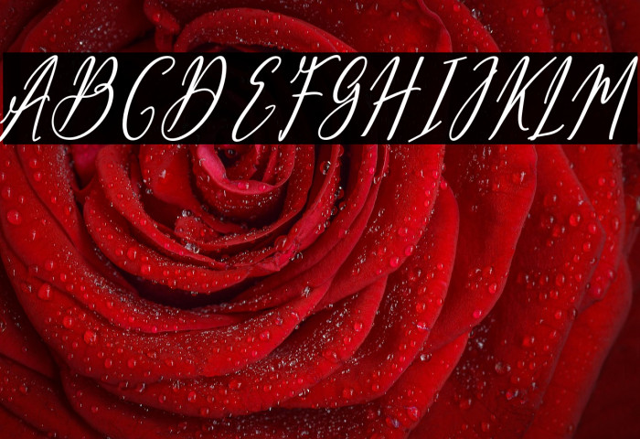 Bellindiabold Example 2