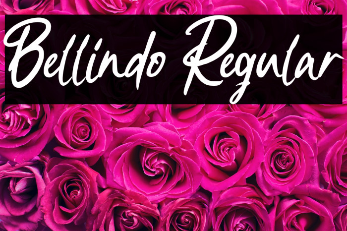 Bellindo Regular Example 1