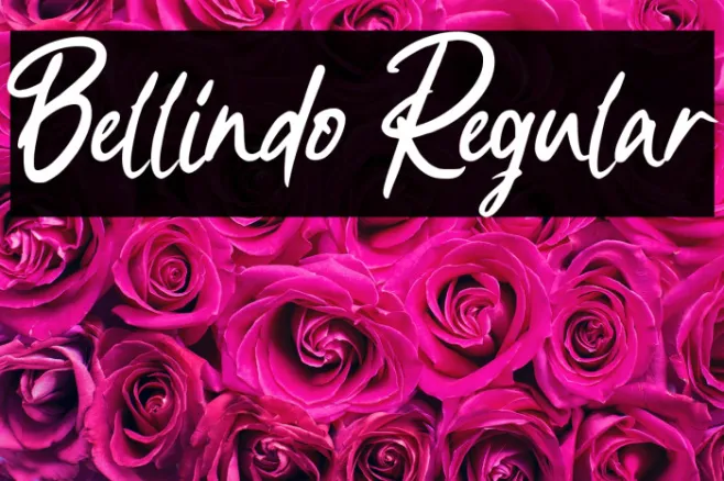 Bellindo Regular Example 1