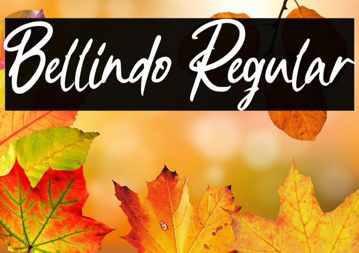 Bellindo Regular Example 2