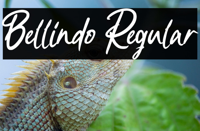 Bellindo Regular Example 3