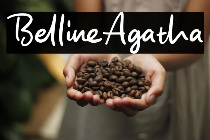 Belline Agatha Example 3