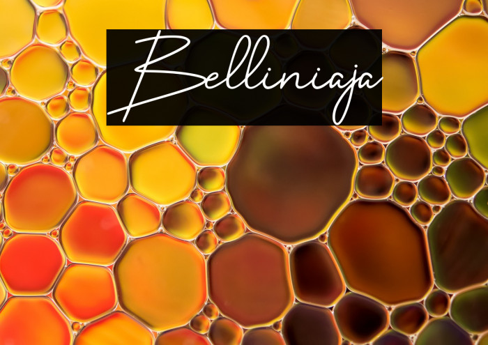 Belliniaja Example 2