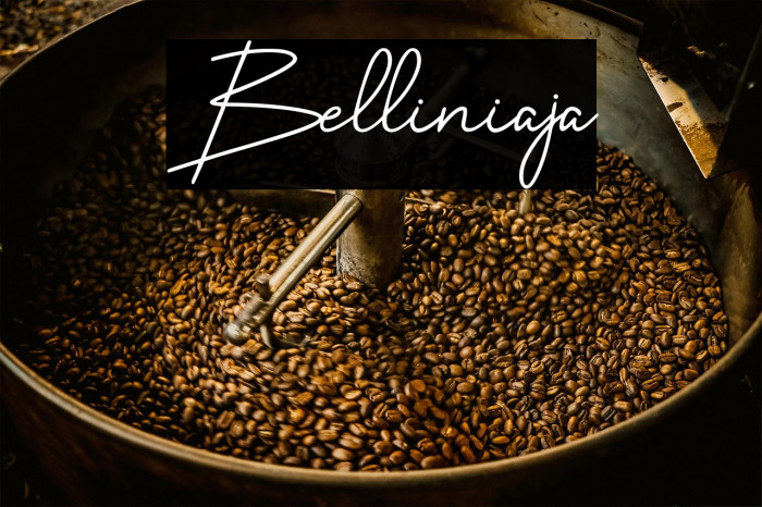 Belliniaja Example 3