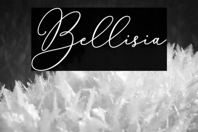 Bellisia Font examples