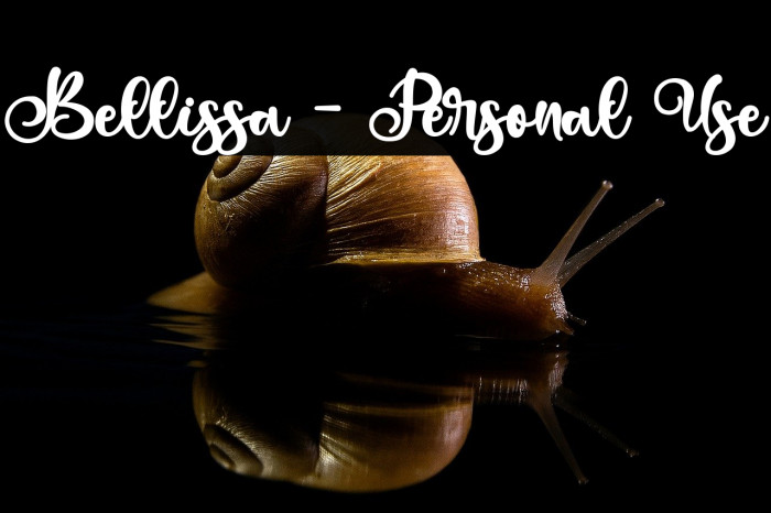 Bellissa - Personal Use Example 1