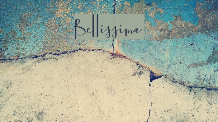 Bellissima Example 2