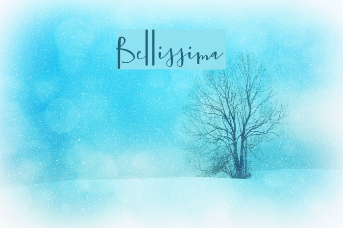 Bellissima Example 3