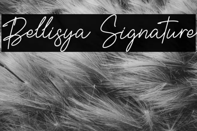 Bellisya Signature Font examples