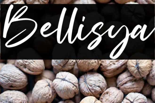 Bellisya Example 1