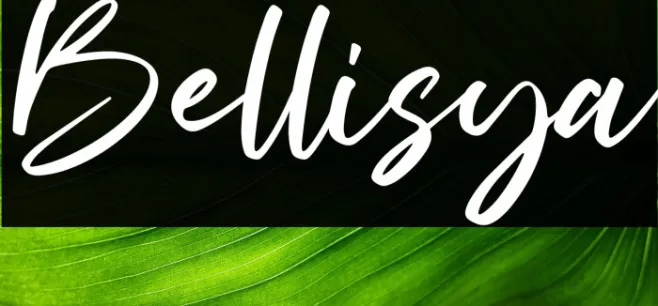 Bellisya Example 2