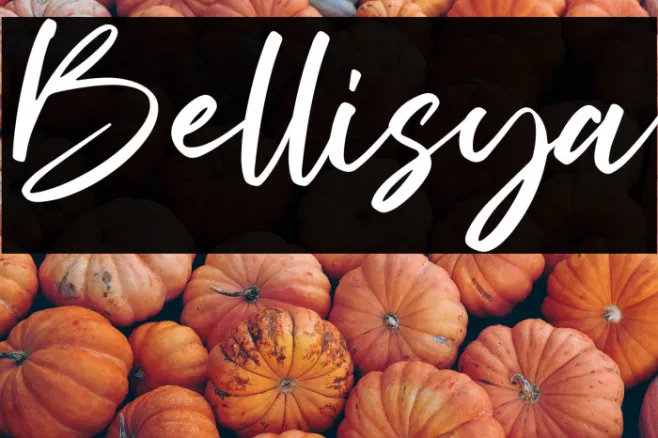 Bellisya Example 3