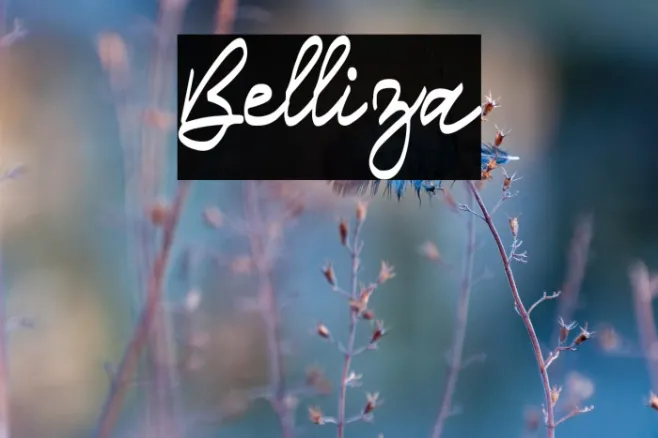 Belliza Example 1