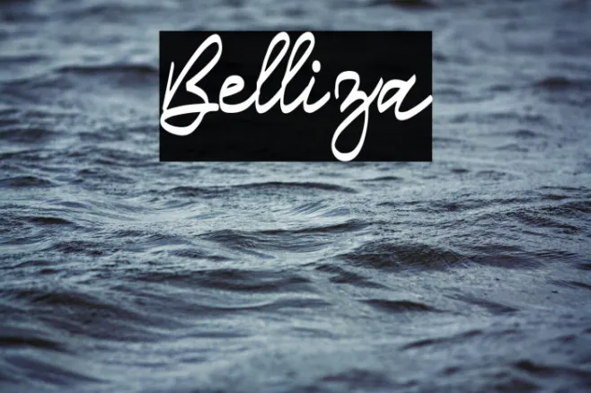 Belliza Example 2