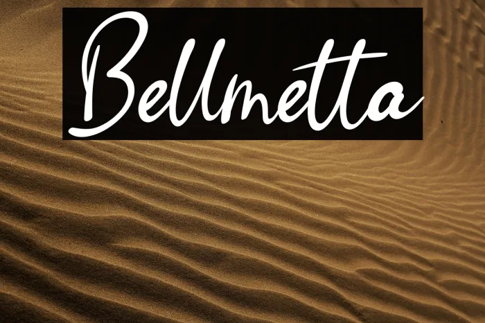 Bellmetta Example 1
