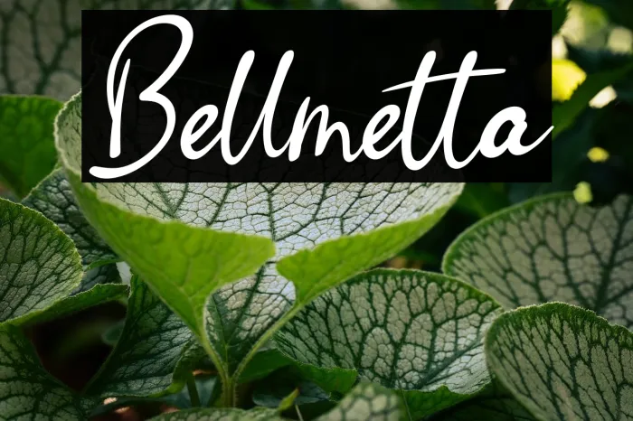 Bellmetta Example 3