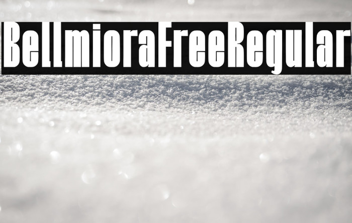 Bellmiora Free Regular Example 2