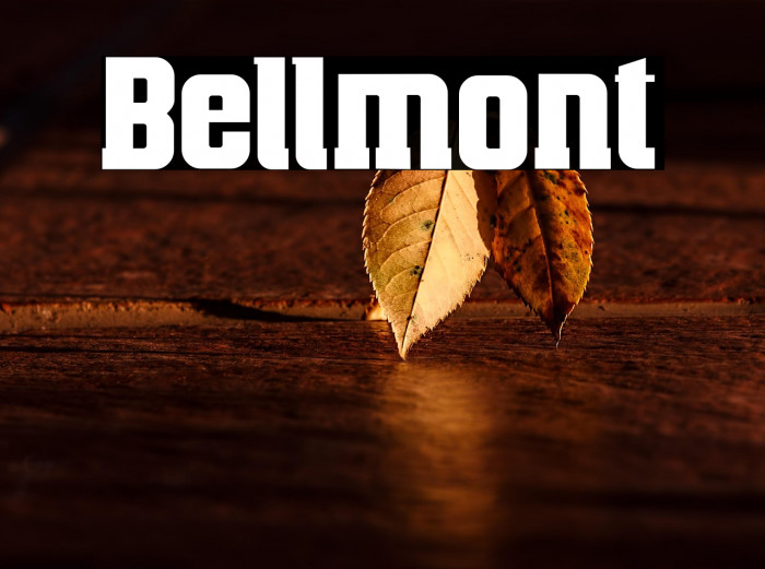 Bellmont Example 1