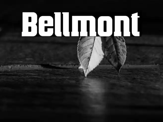 Bellmont Font examples