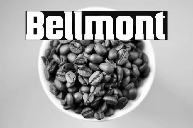 Bellmont Font examples