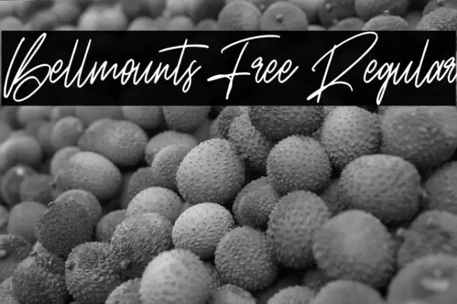 Bellmounts Free Regular Fonte examples