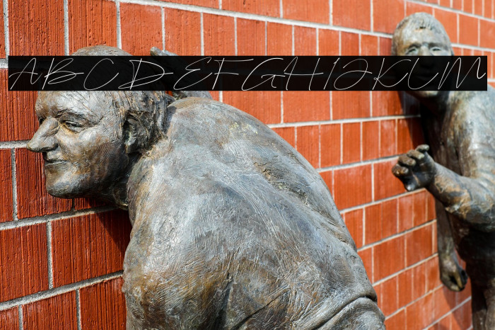 Bellogia Signature Example 2