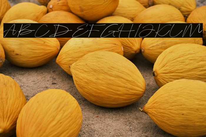 Bellogia Signature Example 3