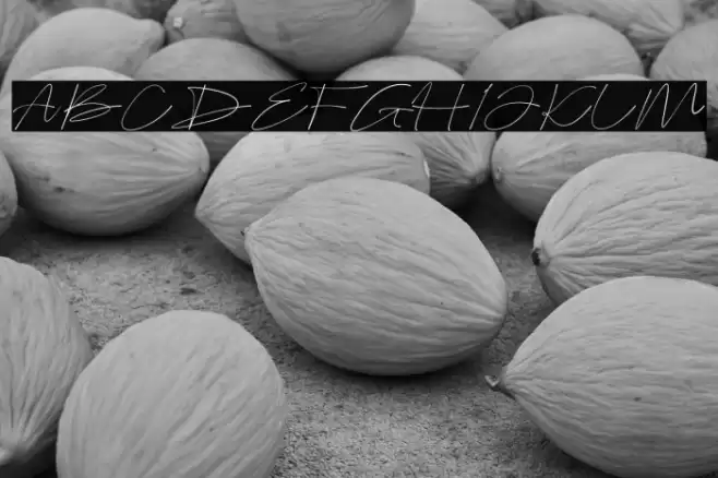 Bellogia Signature Fonte examples