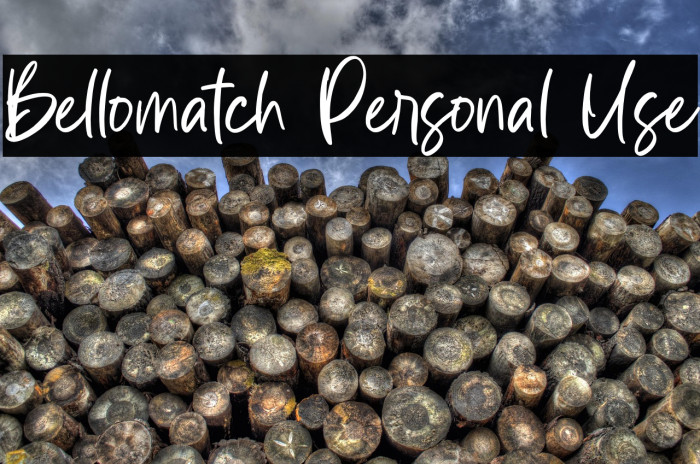 Bellomatch Personal Use Example 2