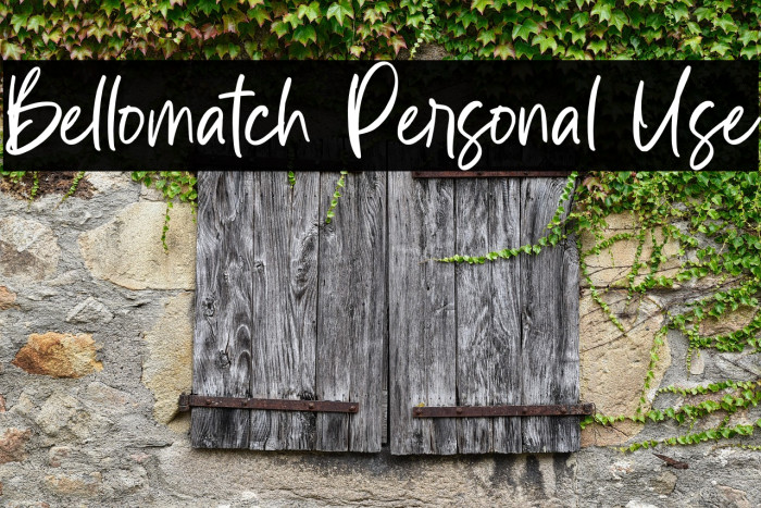 Bellomatch Personal Use Example 3