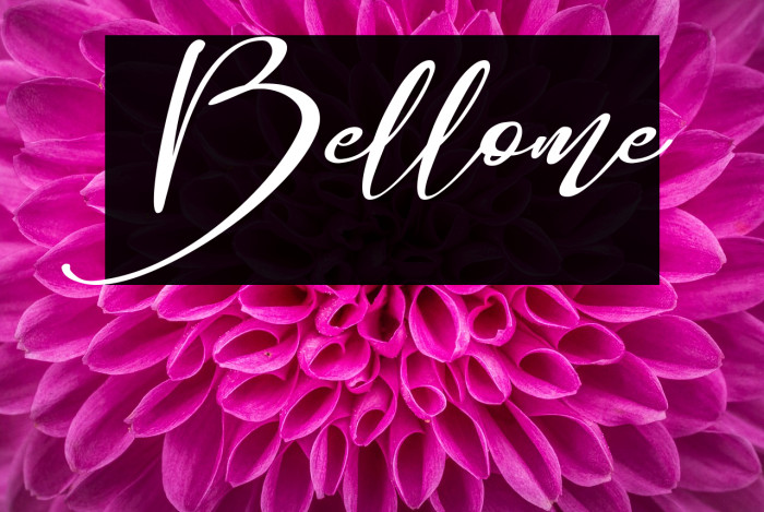 Bellome Font examples