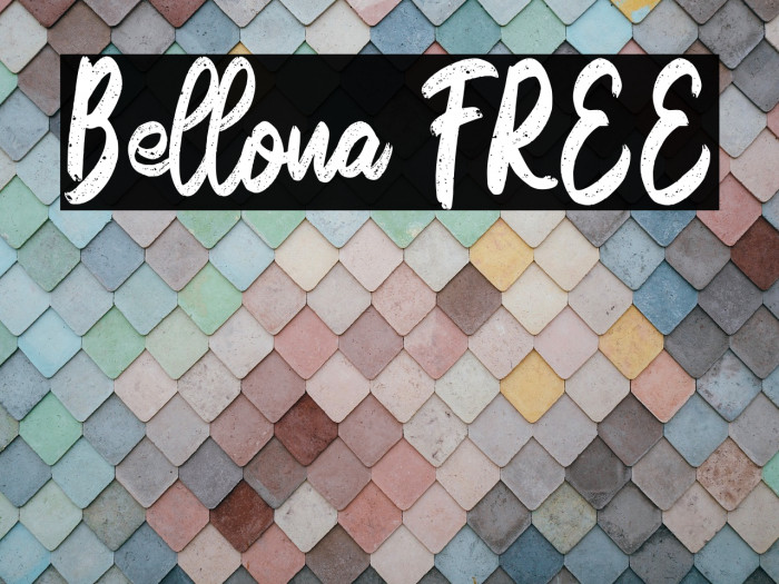 Bellona FREE Example 1