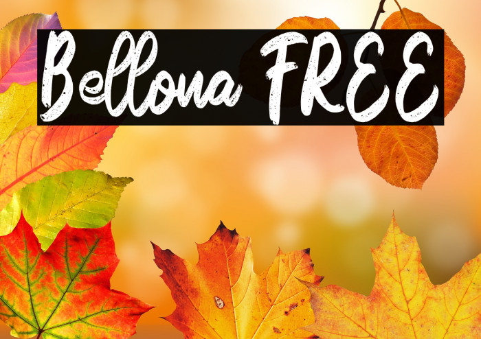 Bellona FREE Example 2