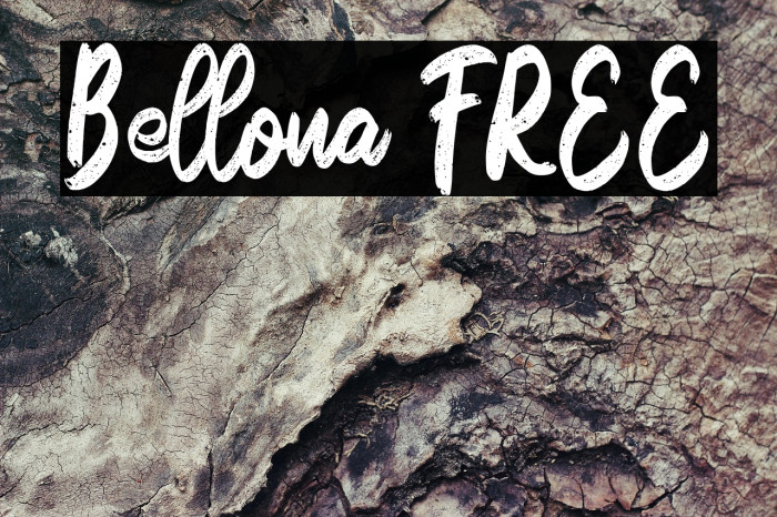 Bellona FREE Example 3