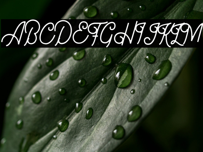 Bellonion DEMO Version Example 3