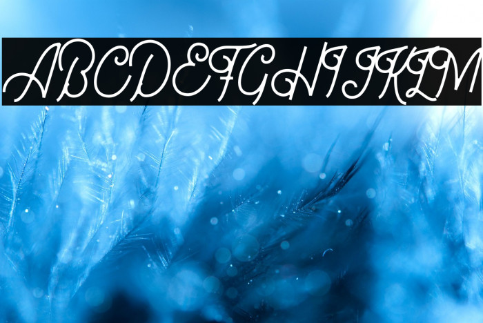 Bellonion DEMO Version Example 1