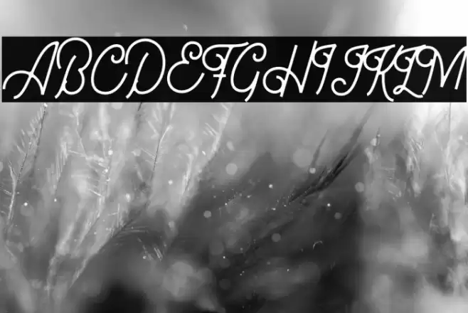 Bellonion DEMO Version Font examples