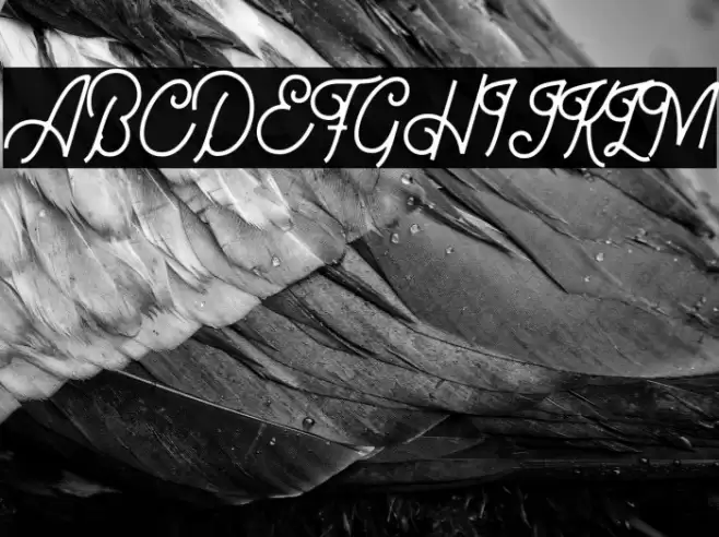 Bellonion DEMO Version Font examples