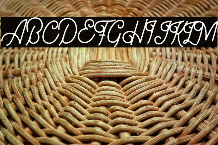 Bellonion DEMO Version Example 3