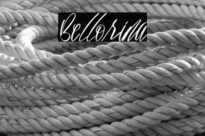 Bellorina 字体 examples