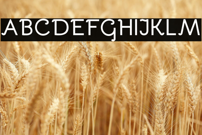 Bellota Bold Example 2